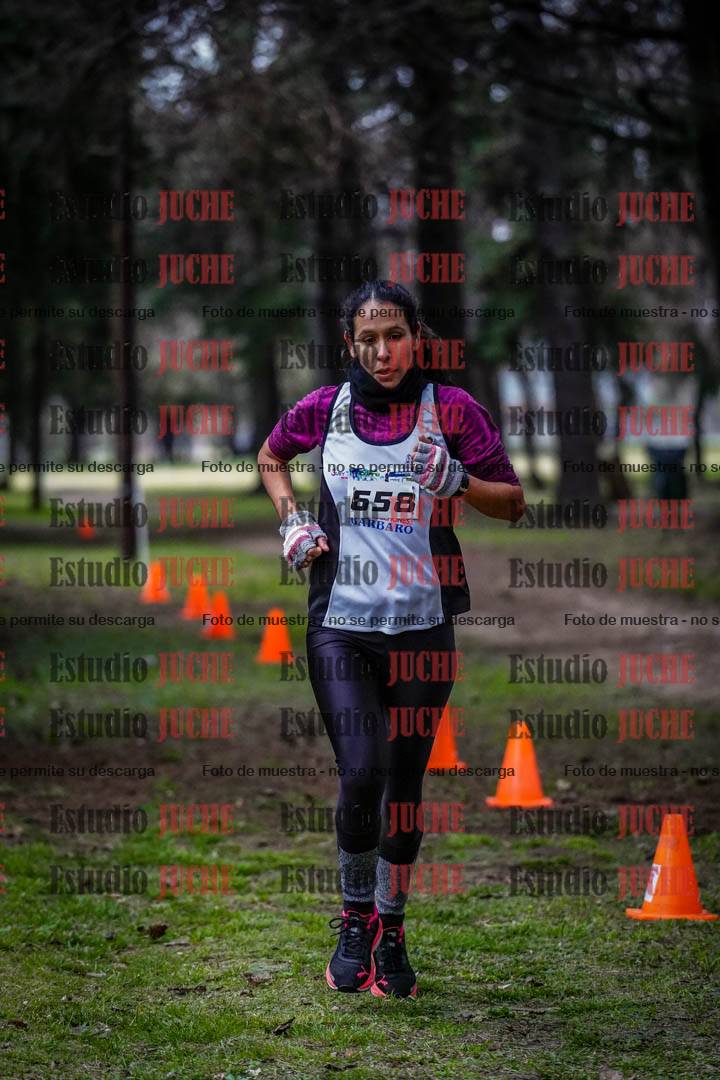 Fotos en el circuito