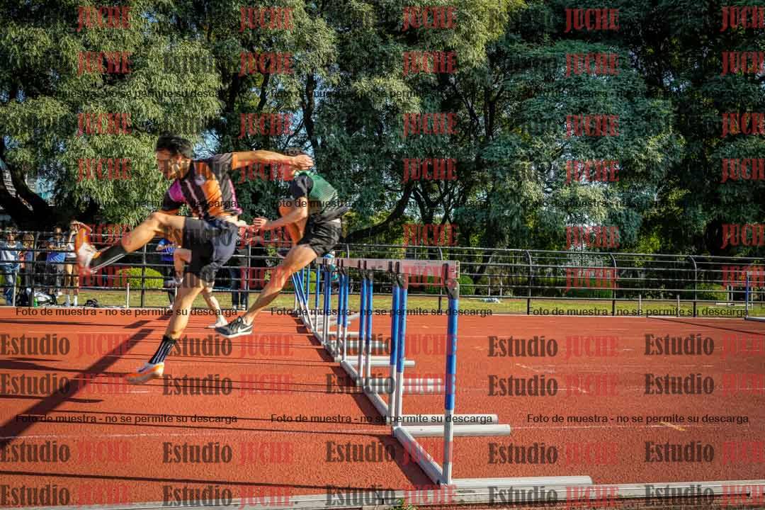 Fotos de los 110 m con vallas de varones