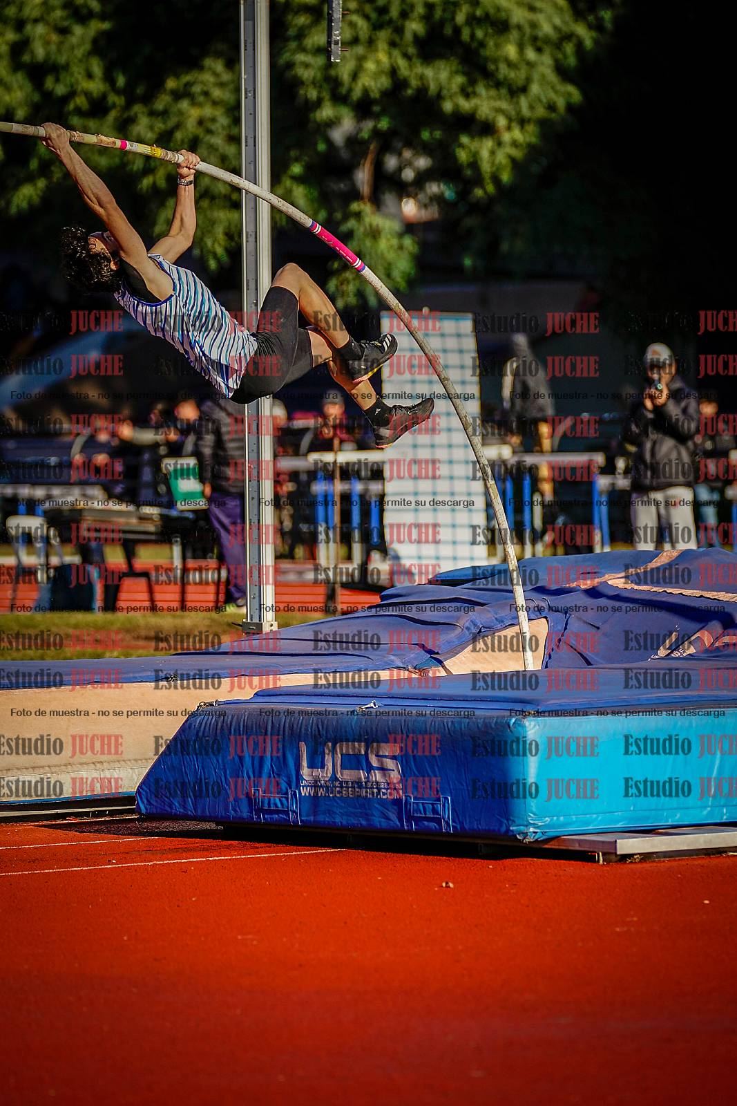 Fotos del salto con garrocha de varones