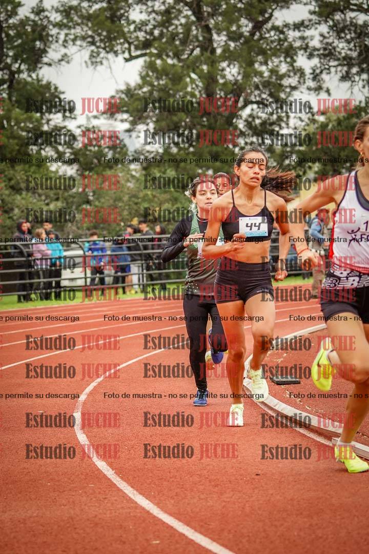 Fotos de los 800 m llanos de mujeres