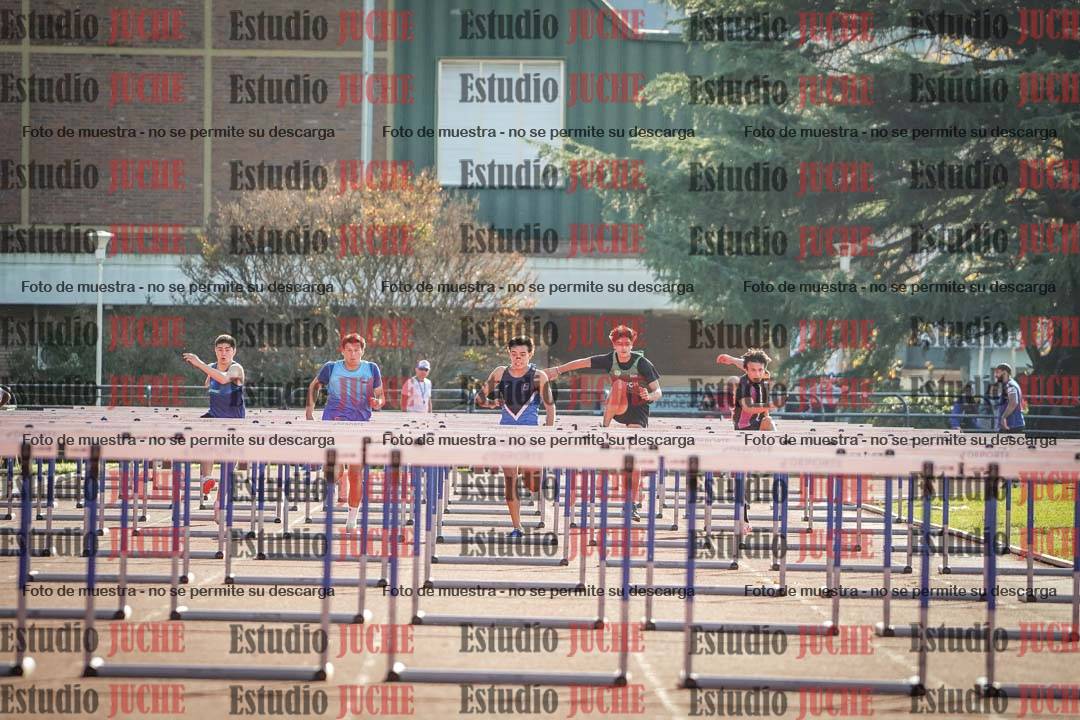 Fotos de los 110 m con vallas de varones