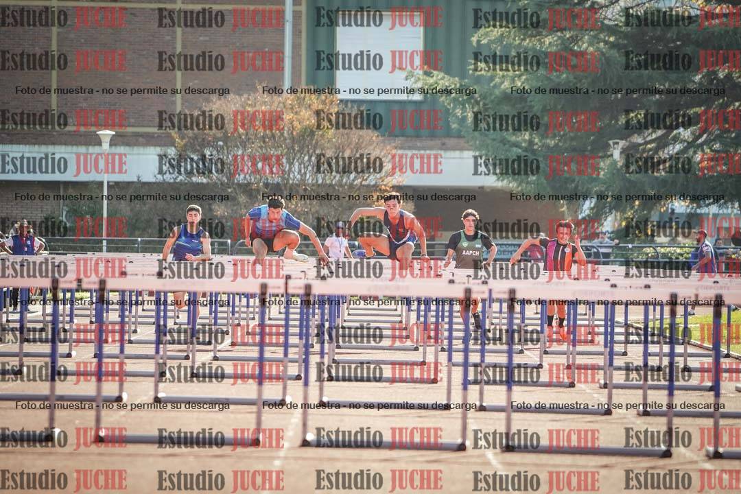 Fotos de los 110 m con vallas de varones