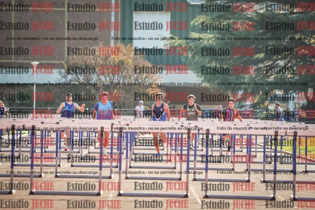Fotos de los 110 m con vallas de varones