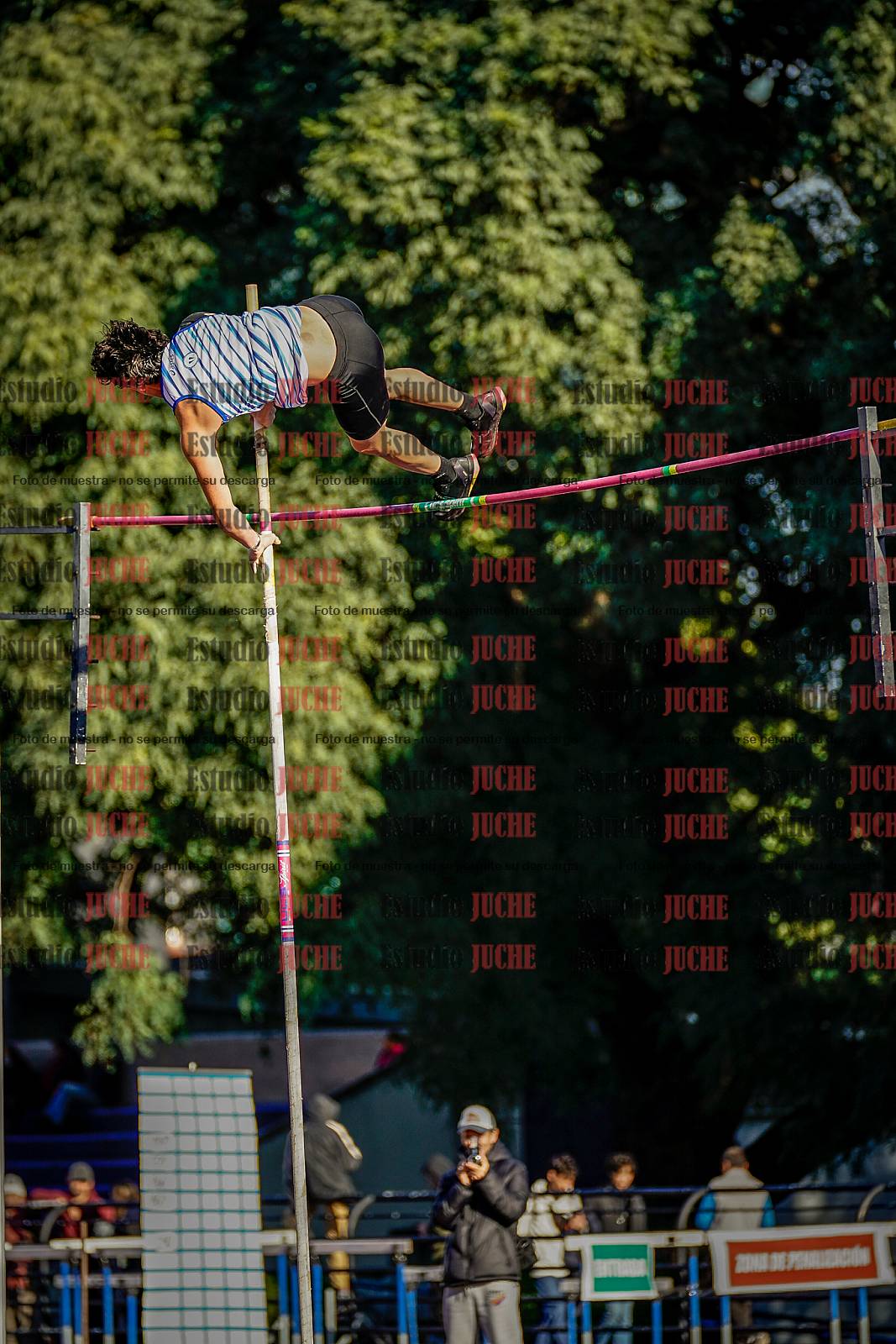 Fotos del salto con garrocha de varones