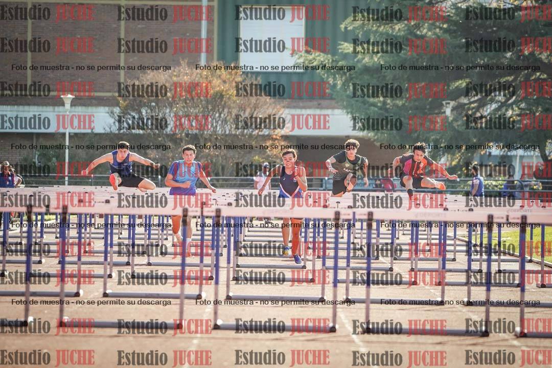 Fotos de los 110 m con vallas de varones