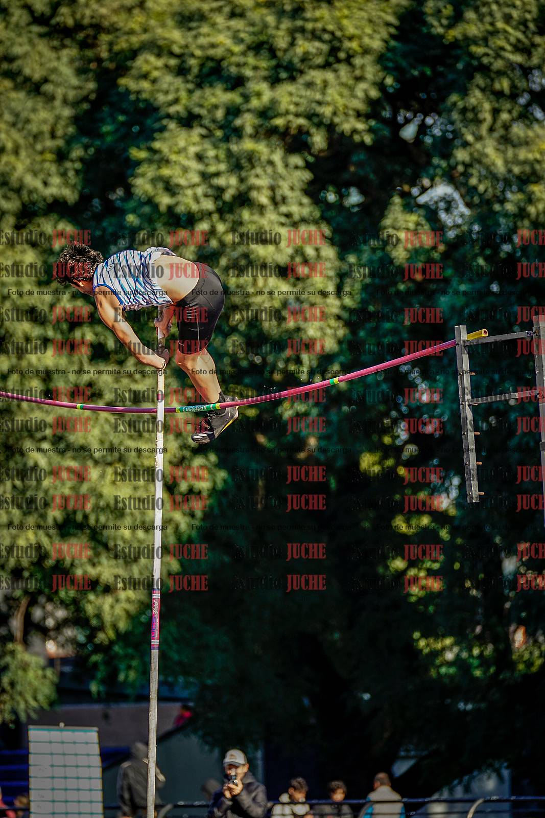 Fotos del salto con garrocha de varones
