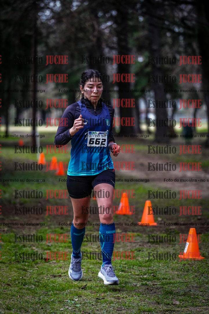 Fotos en el circuito