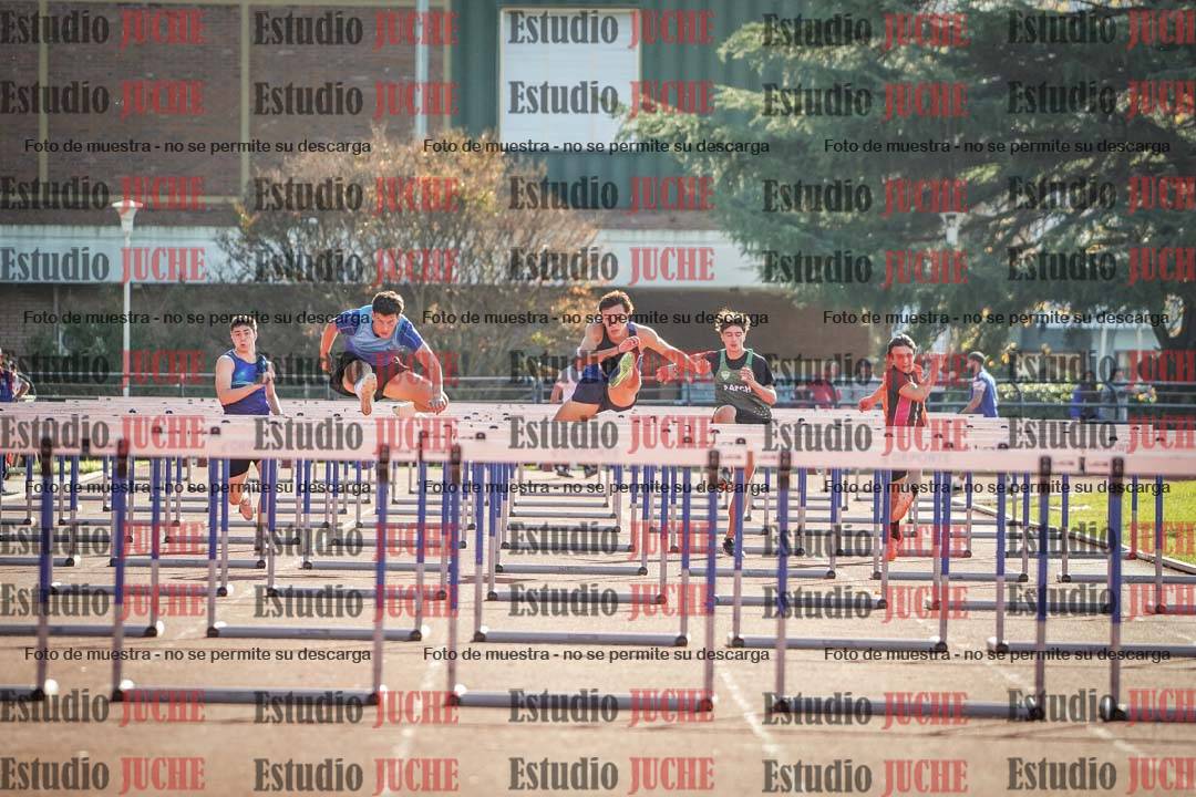 Fotos de los 110 m con vallas de varones