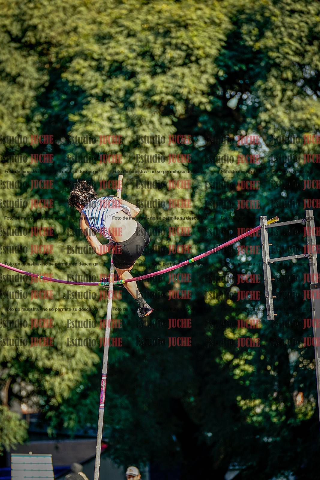 Fotos del salto con garrocha de varones