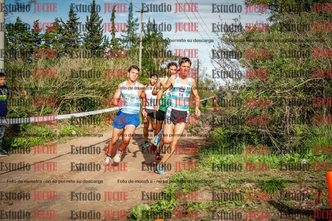 Fotos en el circuito