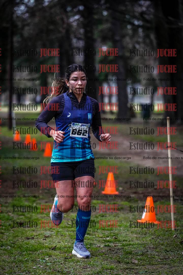 Fotos en el circuito