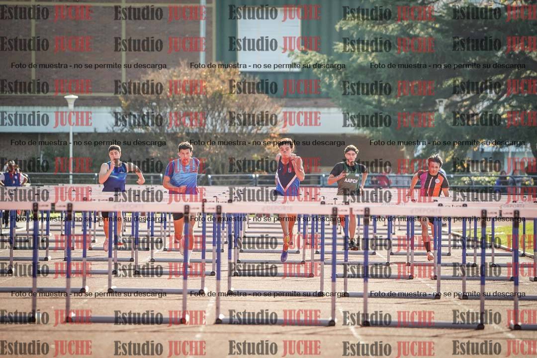 Fotos de los 110 m con vallas de varones