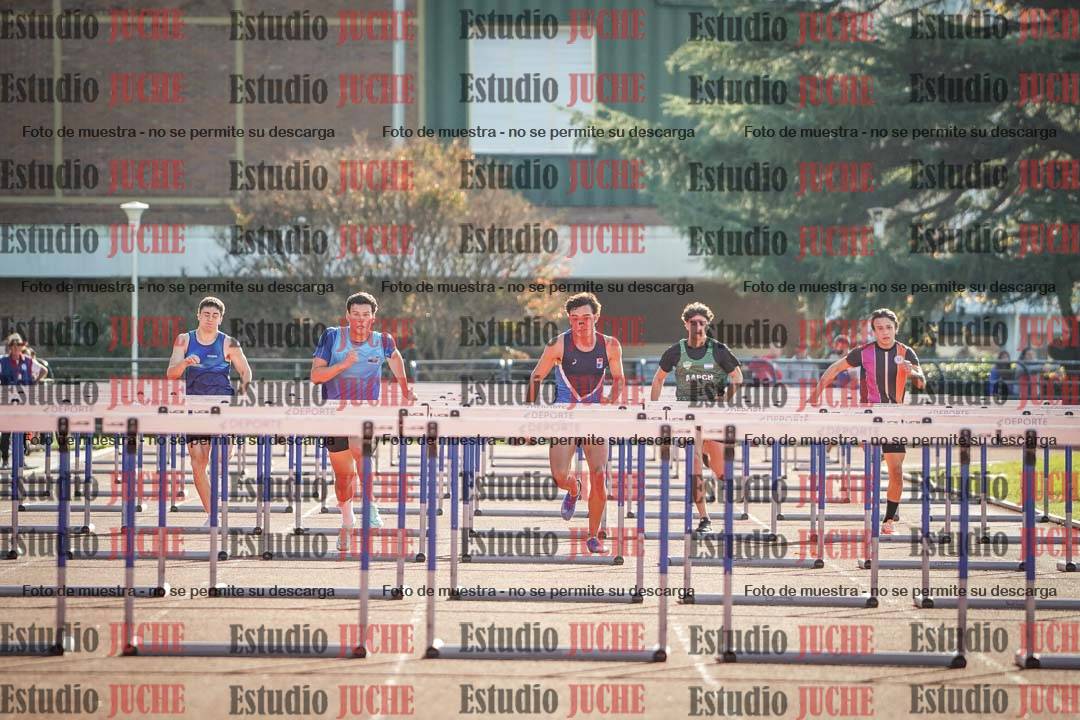 Fotos de los 110 m con vallas de varones