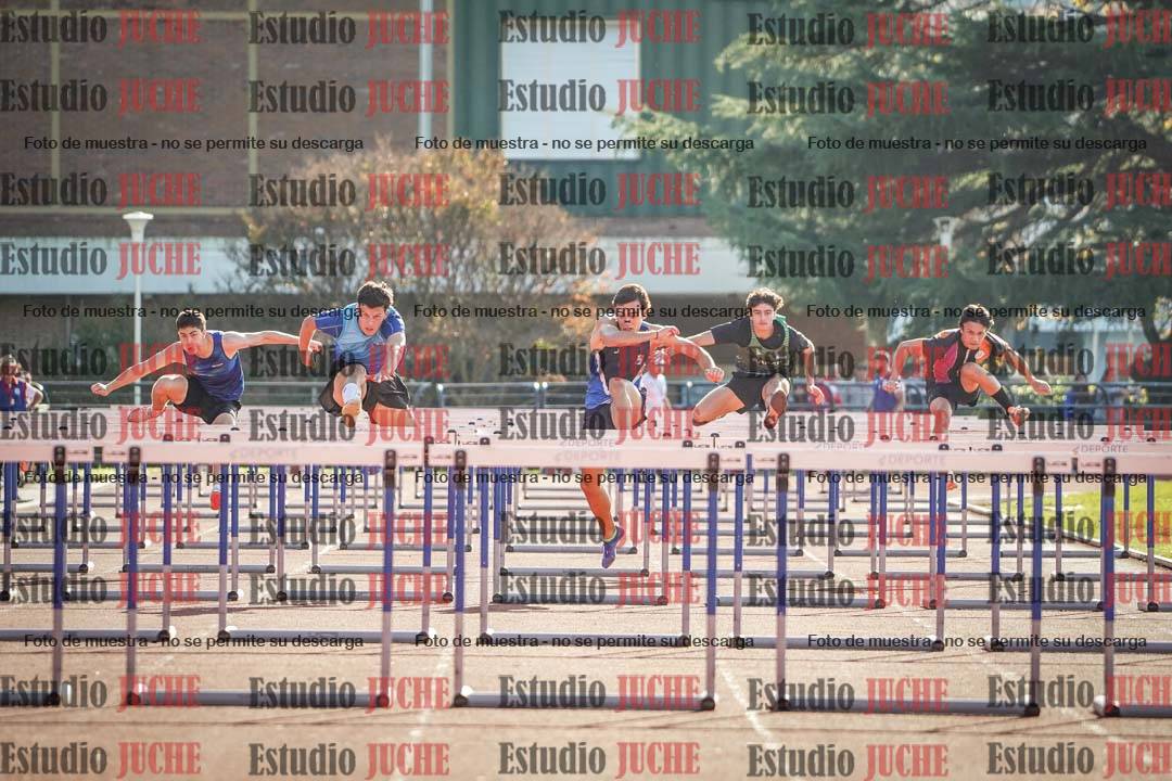 Fotos de los 110 m con vallas de varones