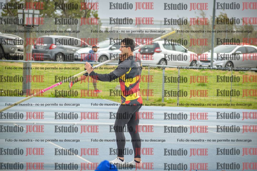 Fotos del salto con garrocha de mujeres y varones