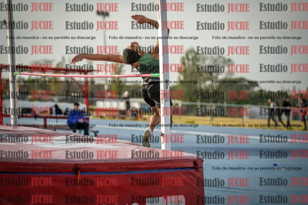 Fotos del salto en alto de varones