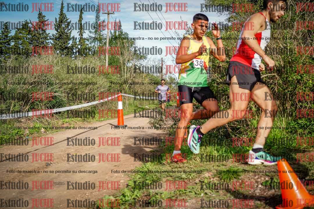 Fotos en el circuito