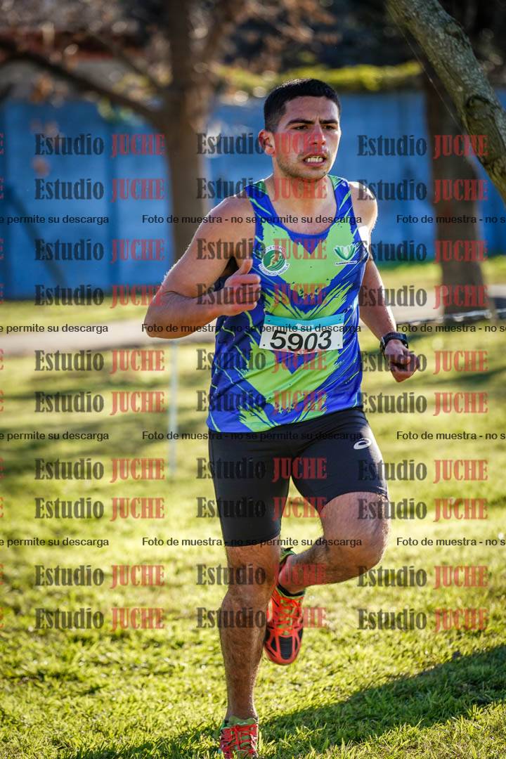 Fotos en el circuito