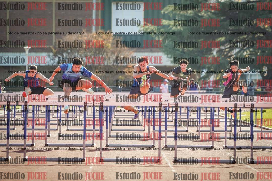 Fotos de los 110 m con vallas de varones