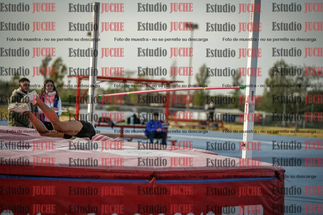 Fotos del salto en alto de varones