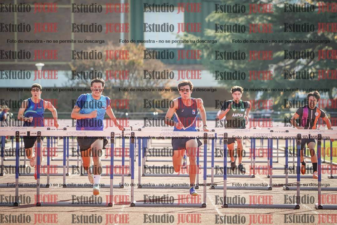Fotos de los 110 m con vallas de varones