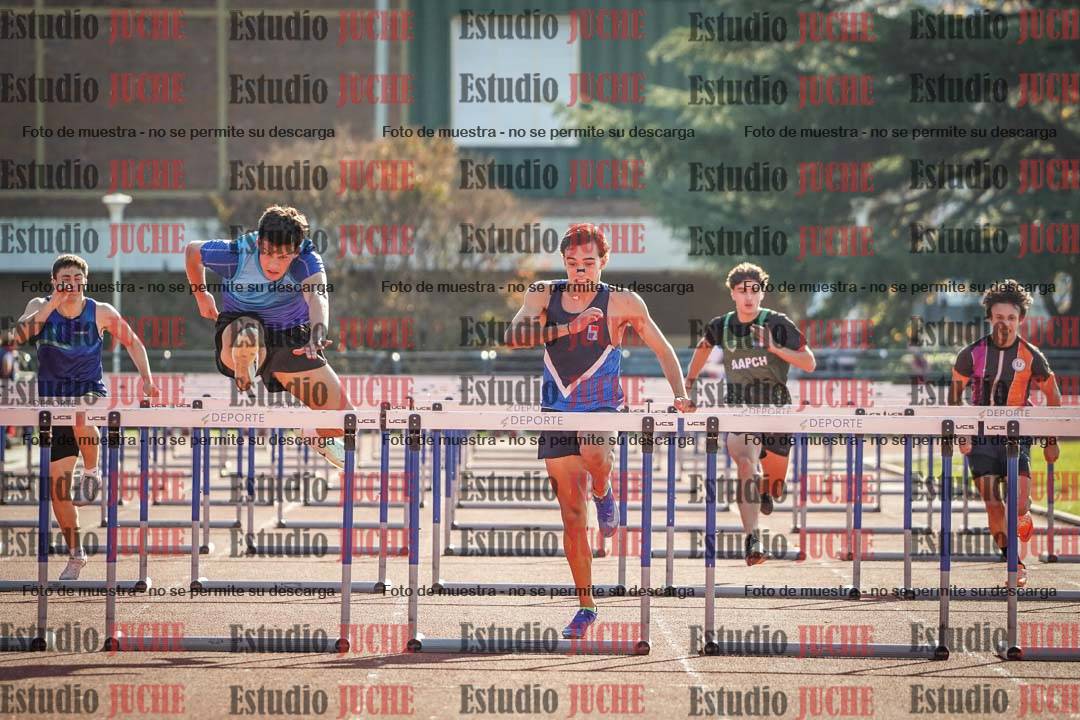 Fotos de los 110 m con vallas de varones
