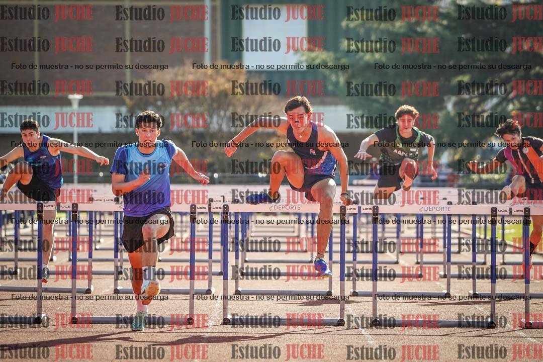 Fotos de los 110 m con vallas de varones