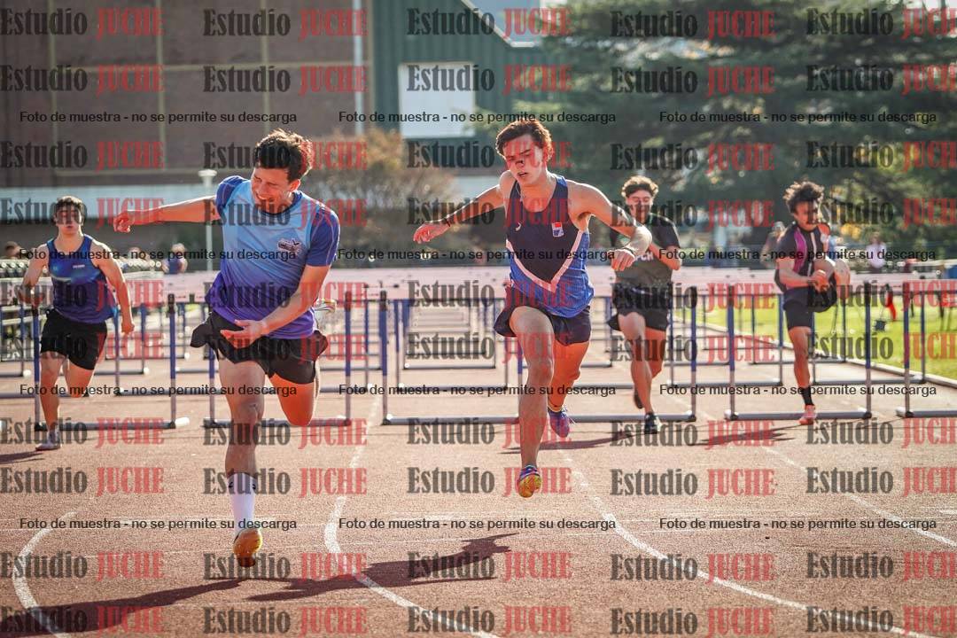 Fotos de los 110 m con vallas de varones