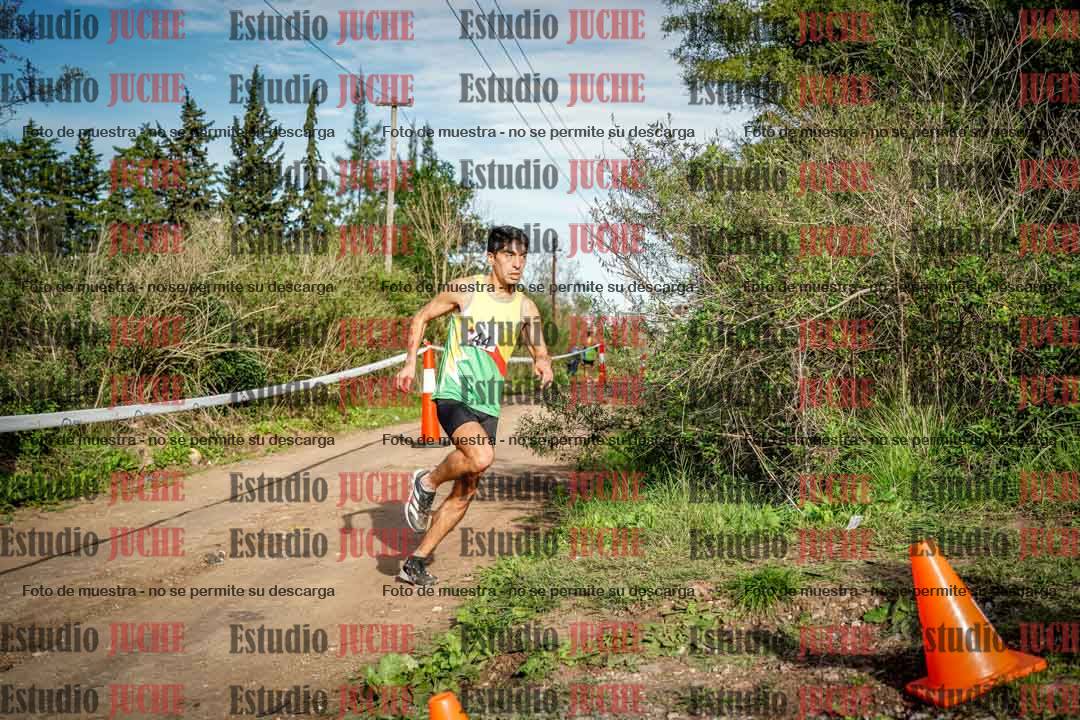 Fotos en el circuito