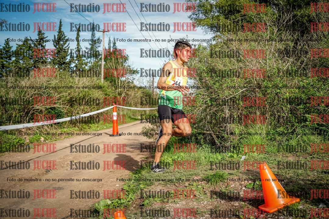 Fotos en el circuito