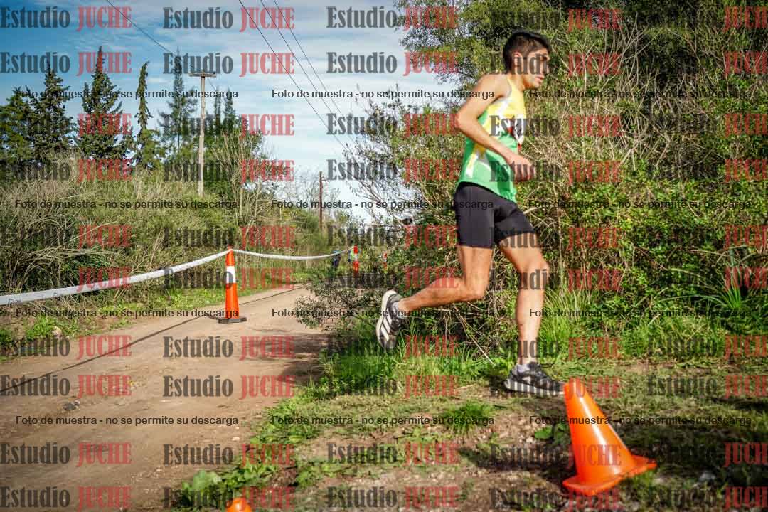 Fotos en el circuito