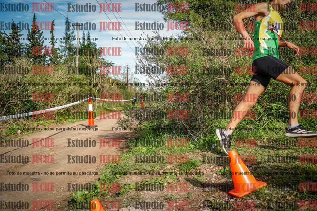Fotos en el circuito