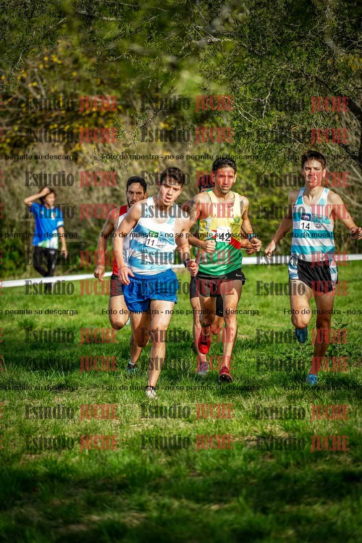 Fotos en el circuito
