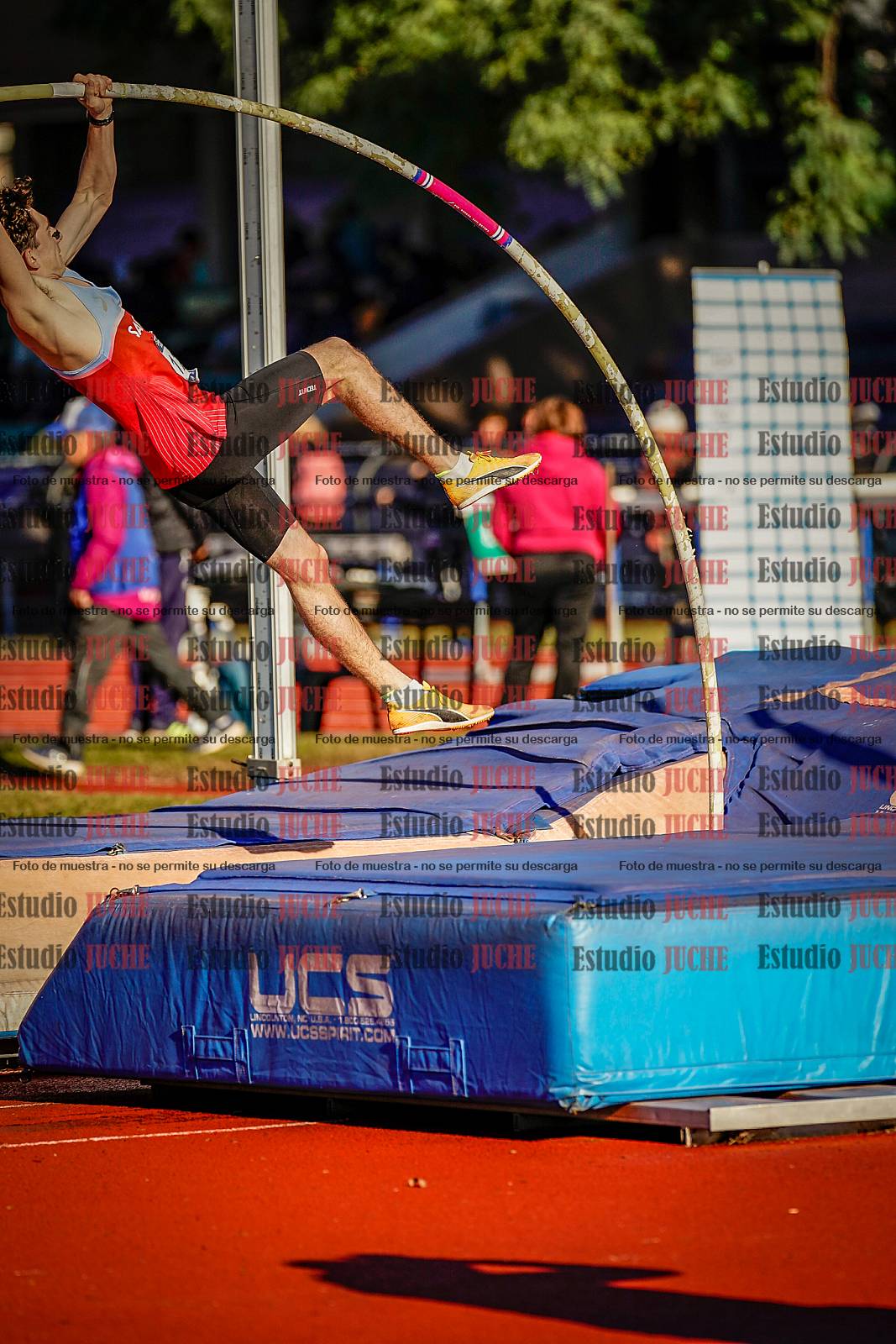 Fotos del salto con garrocha de varones