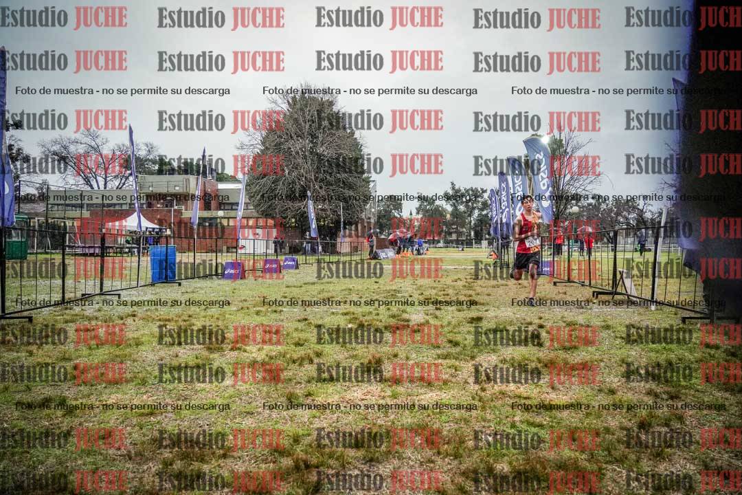 Fotos de la llegada