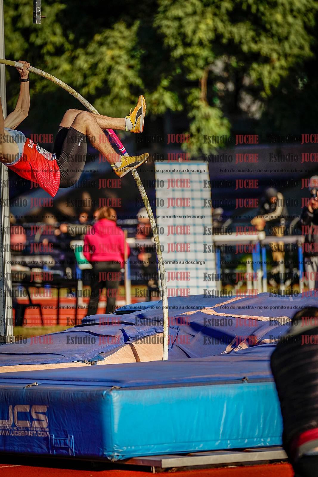Fotos del salto con garrocha de varones