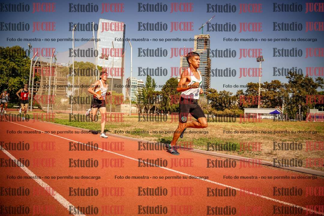 Fotos de los 3000 m llanos de varones