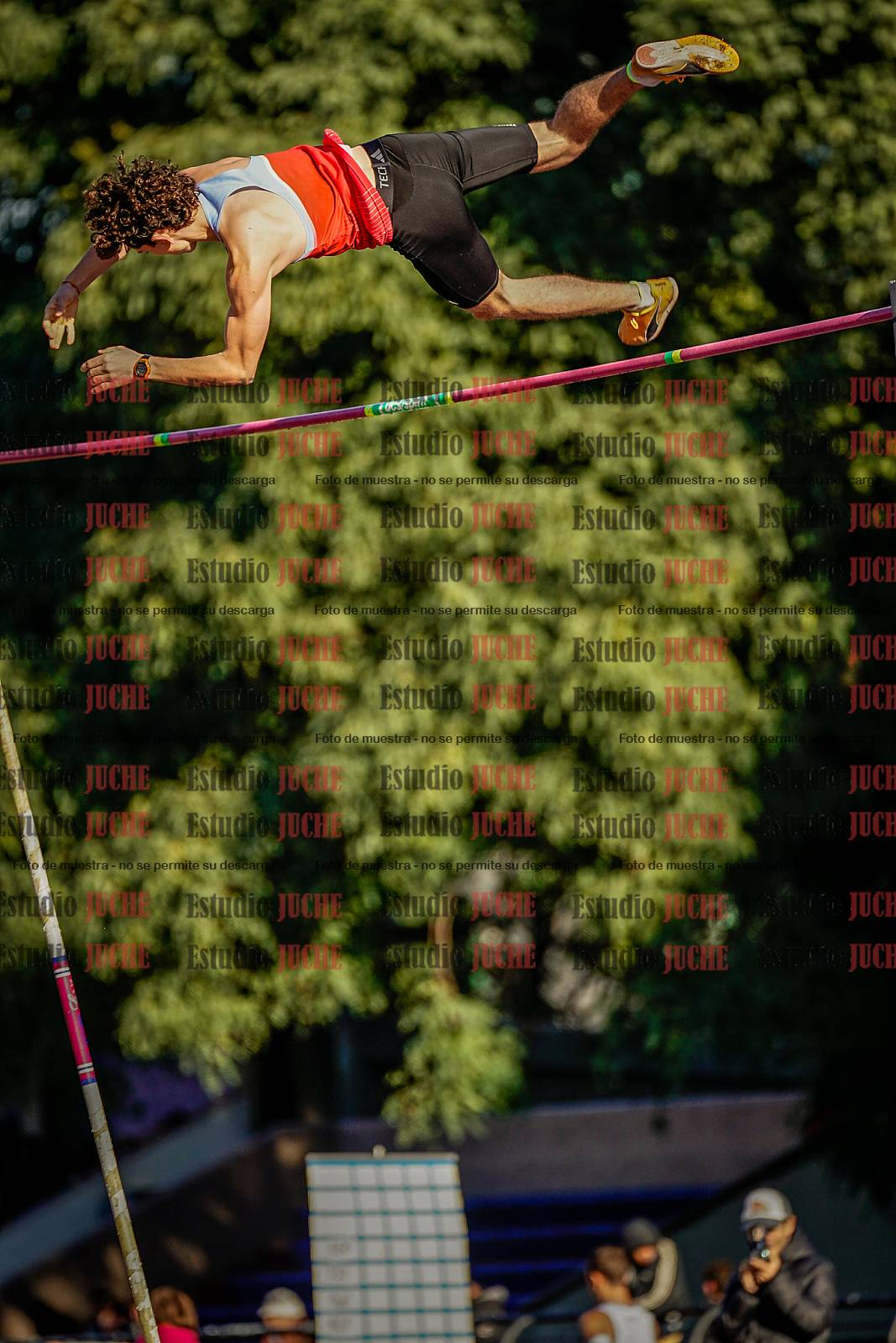 Fotos del salto con garrocha de varones