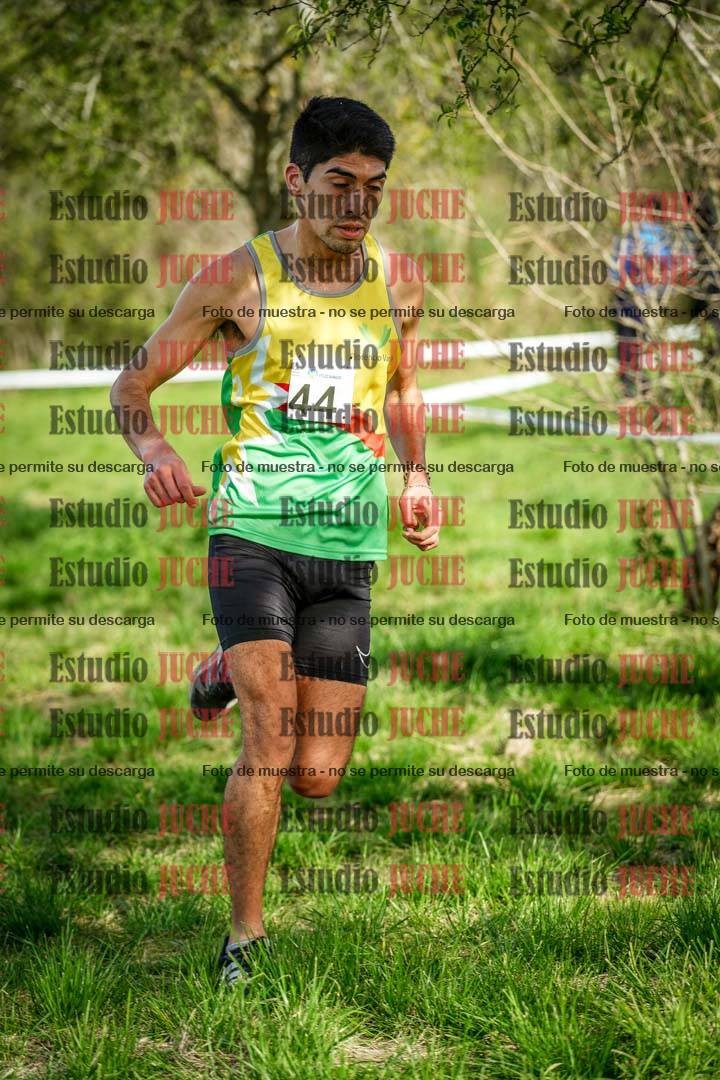 Fotos en el circuito