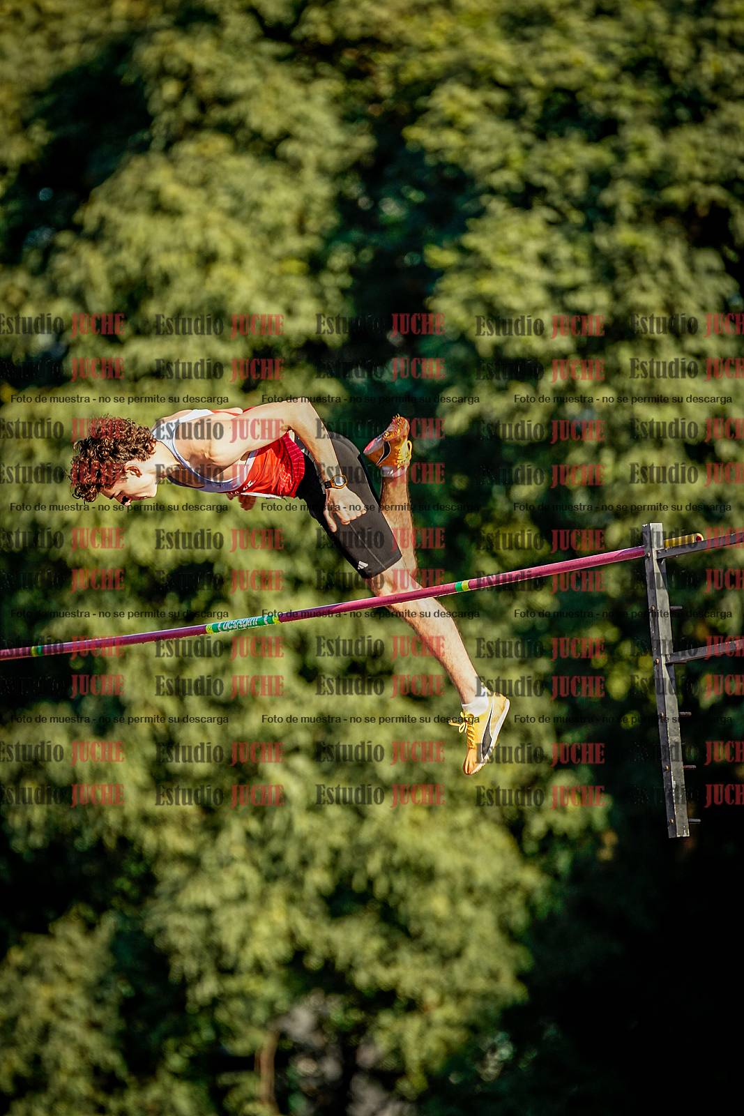 Fotos del salto con garrocha de varones