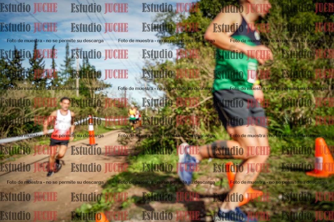 Fotos en el circuito