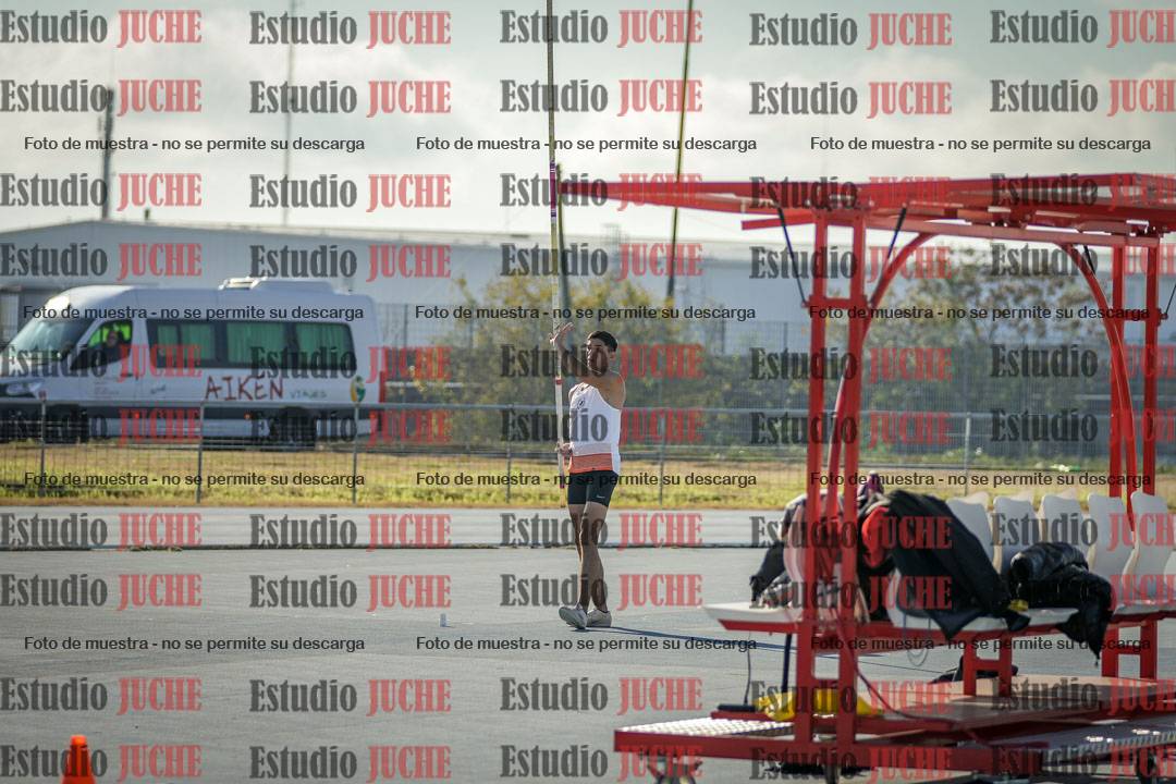 Fotos del salto con garrocha de mujeres y varones