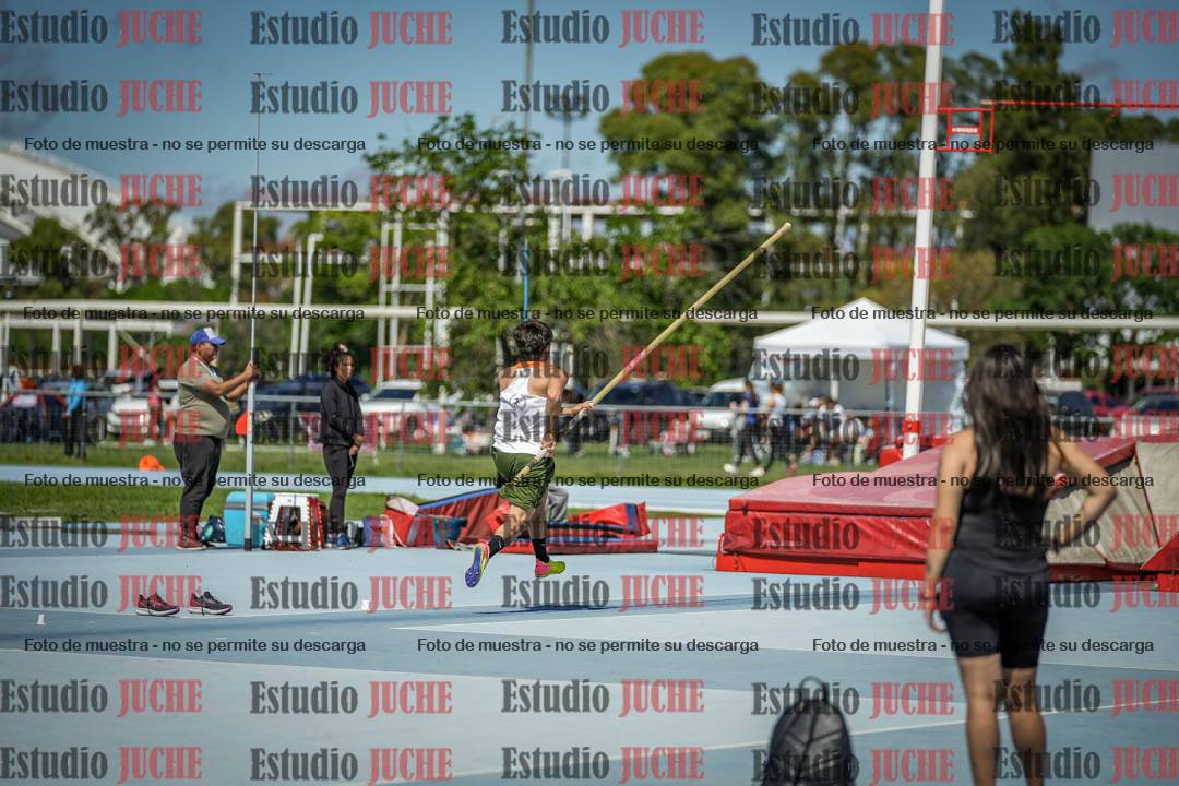 Fotos del salto con garrocha de mujeres y varones - todas las alturas