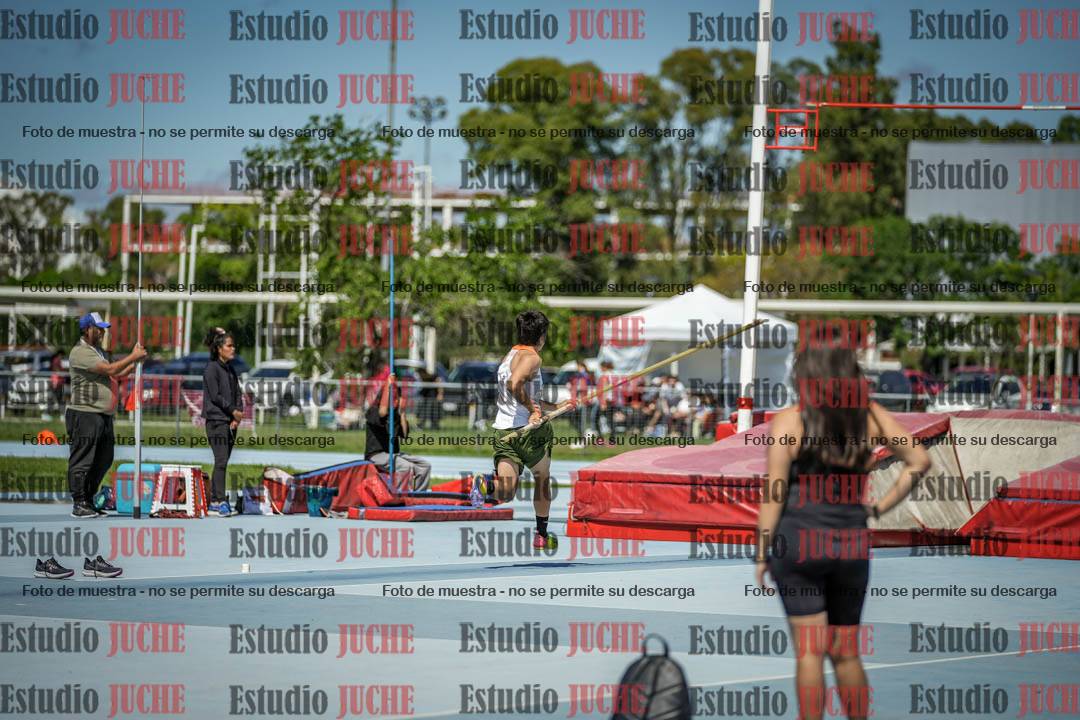 Fotos del salto con garrocha de mujeres y varones - todas las alturas