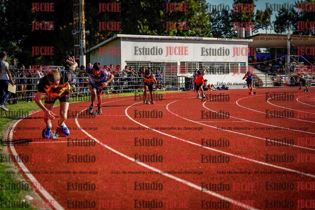 Fotos de los 400 m con vallas de varones