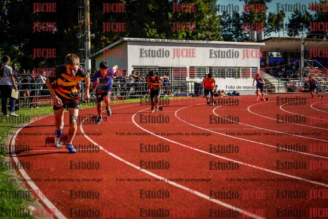 Fotos de los 400 m con vallas de varones