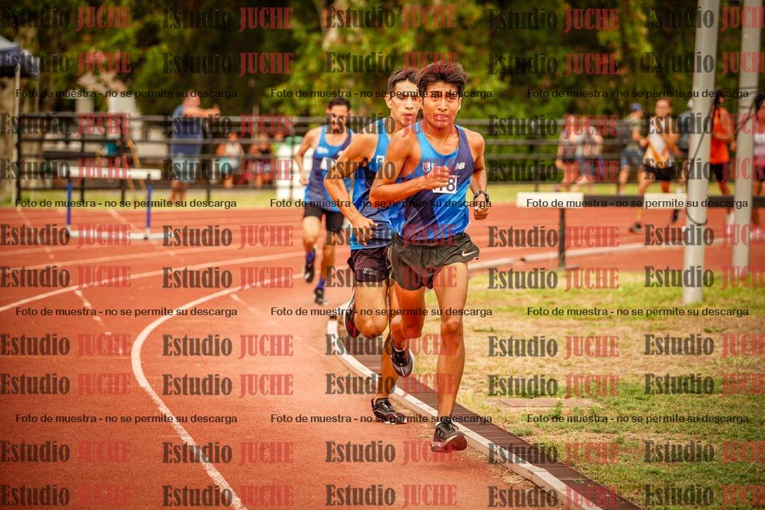 Fotos de los 5000 m de varones