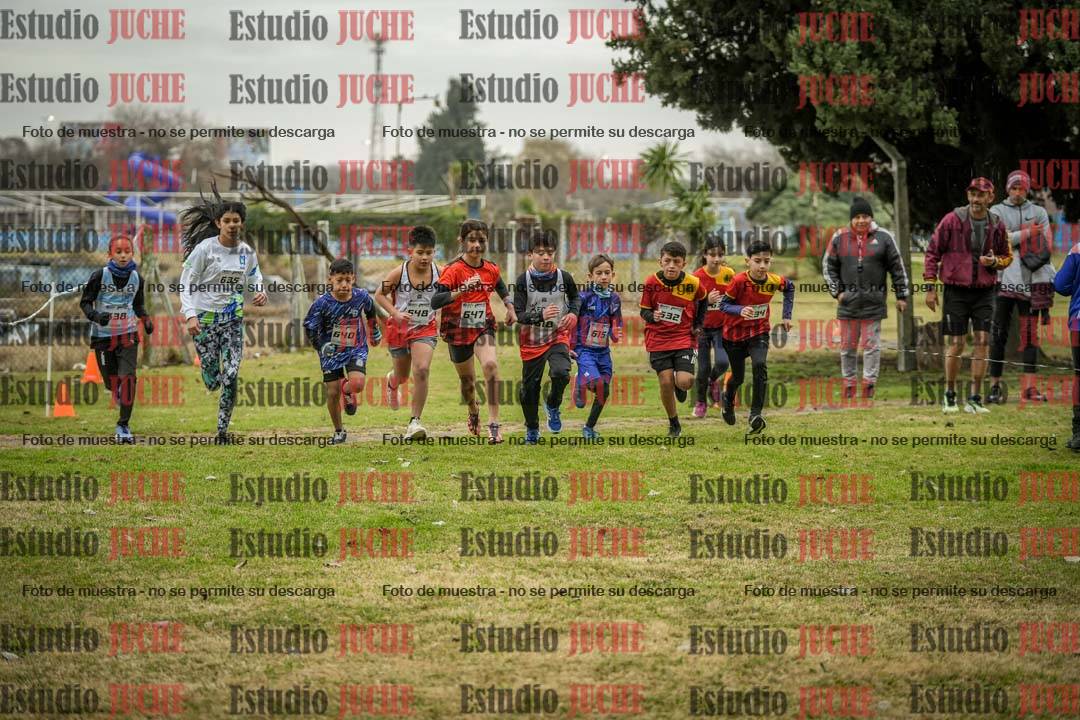 Fotos en de la largada