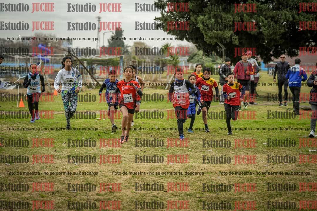Fotos en de la largada