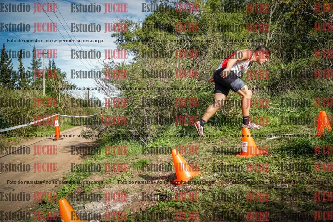 Fotos en el circuito